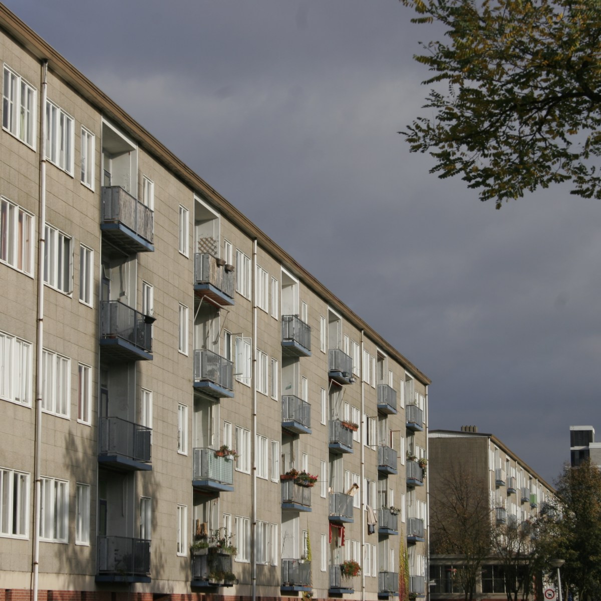 Orwell in Amsterdam&nbsp;Oost