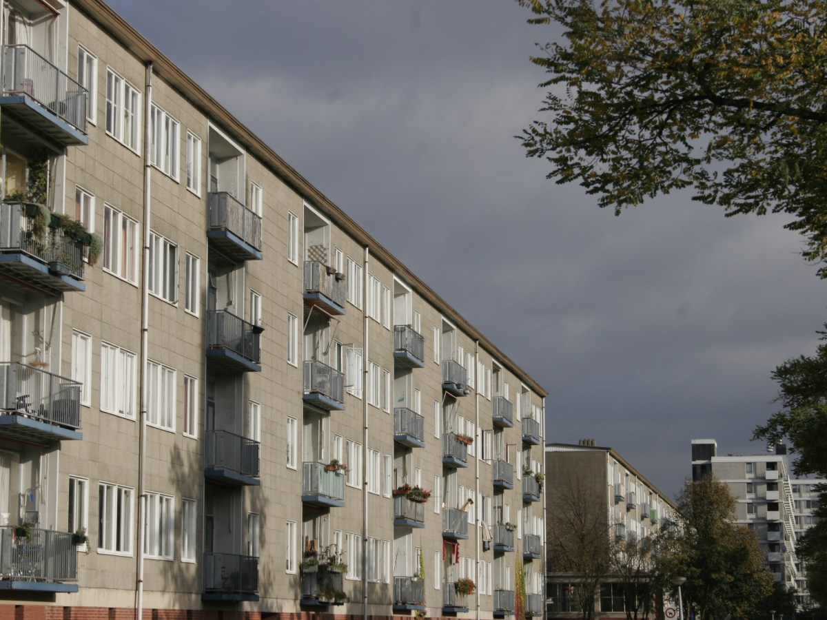 Orwell in Amsterdam&nbsp;Oost