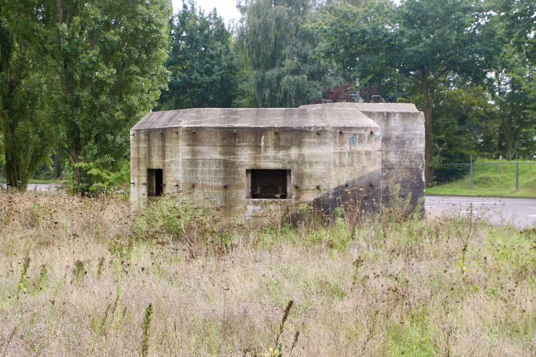 Een verdwaald stekelvarken in Amersfoort. Bunkerliefde aan de&nbsp;Zielhorsterweg.