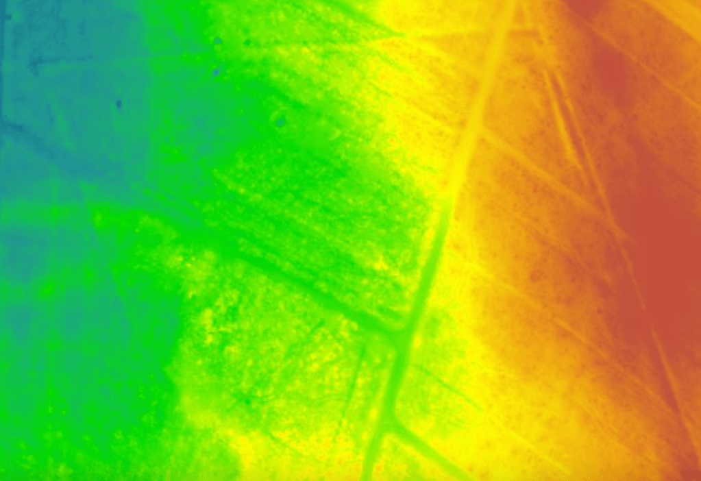 tweede romeinse marskamp Ermelo