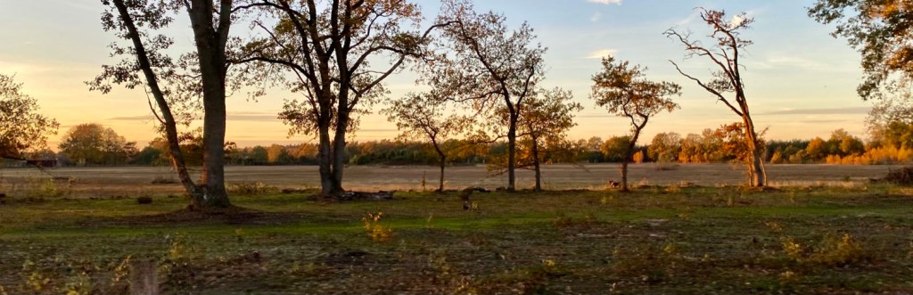 Cirkels van Mander. op een herfstavond. Uelserweg.