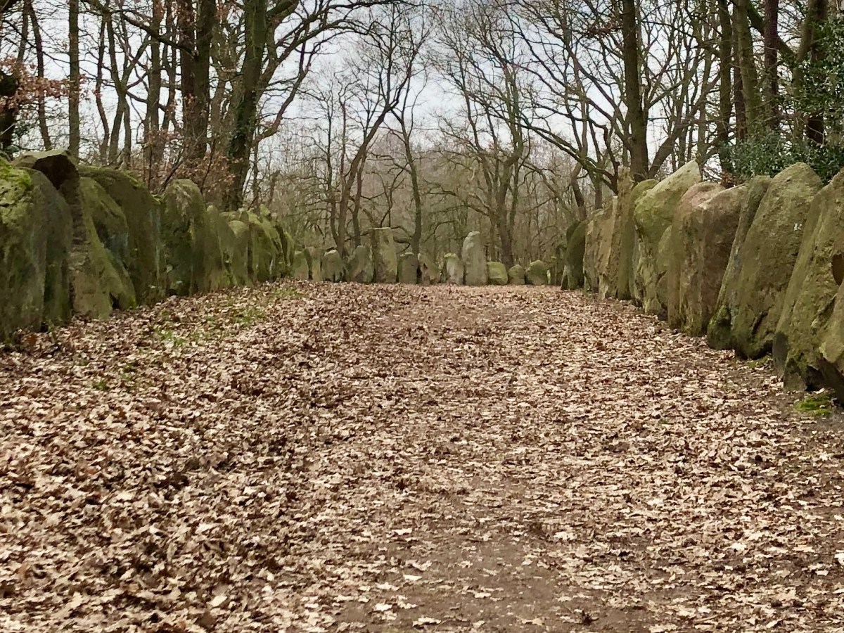 De Sachsenhain in&nbsp;Verden.