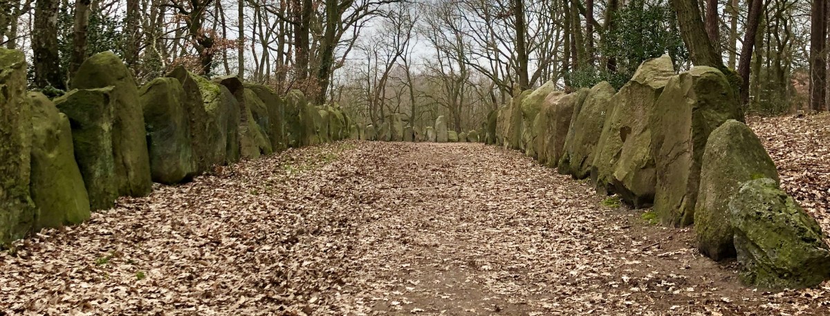 De Sachsenhain in&nbsp;Verden.