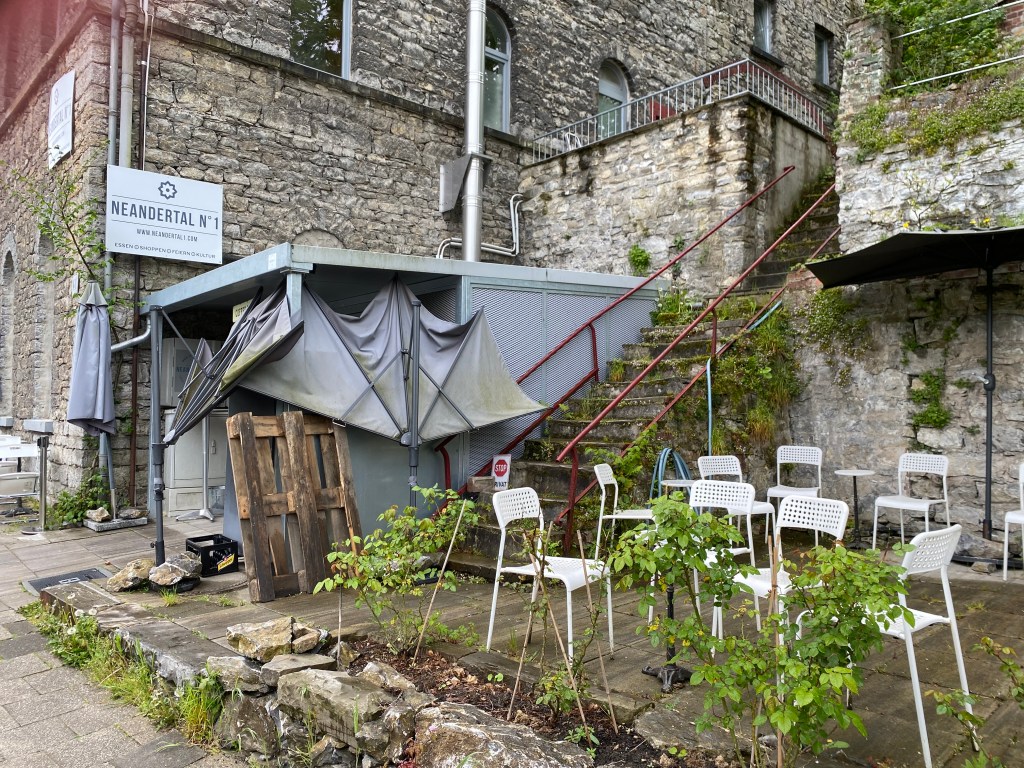 Neandertal geschiedenis