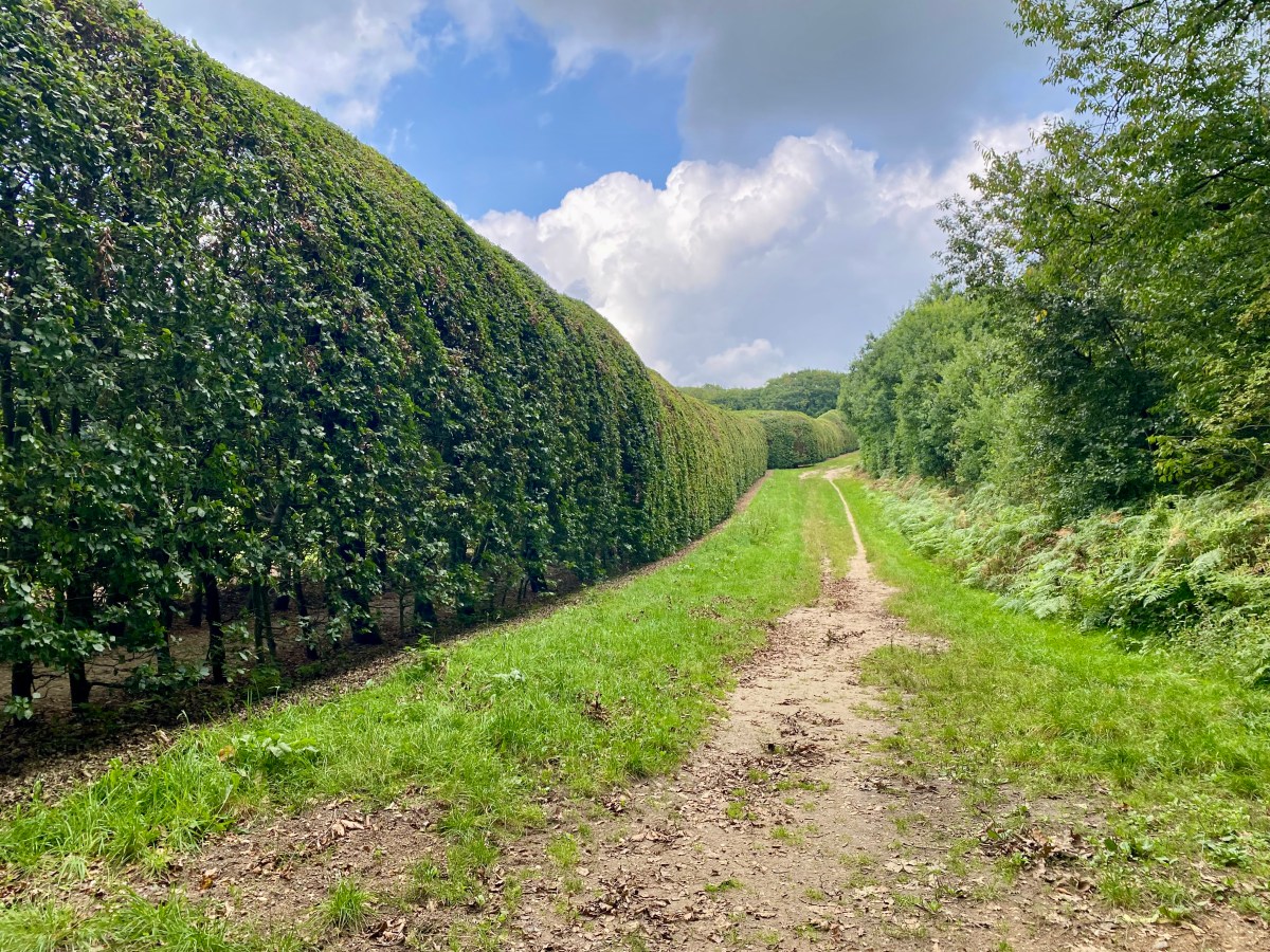 De Groene bedstee in&nbsp;Mariëndaal