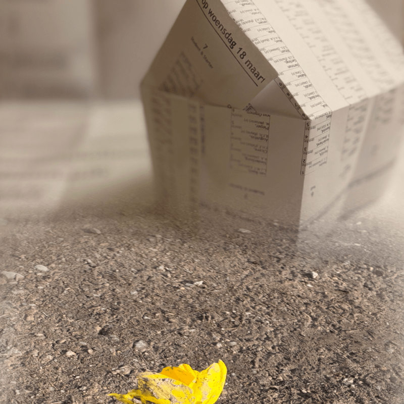 De Lideweide. Politieke woestijnvorming in Vuile&nbsp;Pekela.