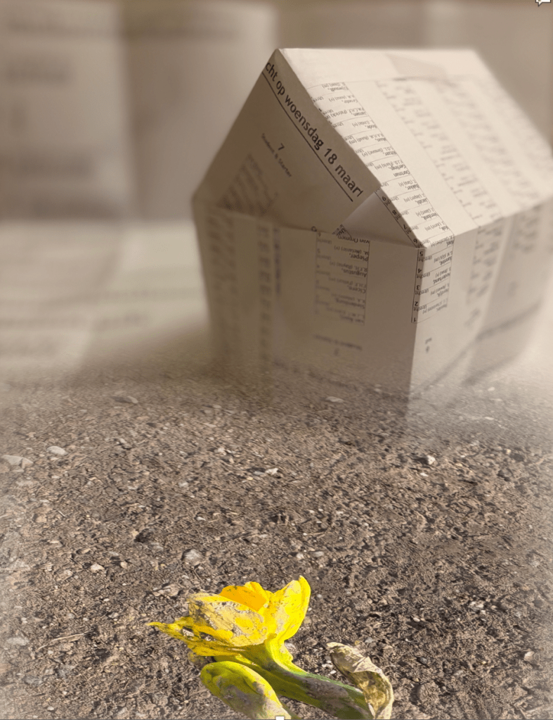 De Lideweide. Politieke woestijnvorming in Vuile&nbsp;Pekela.